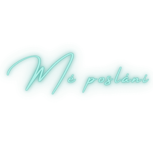 Ali_logo_mé poslání